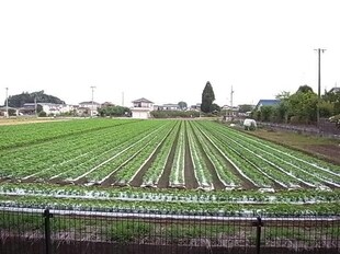 ハイツフラワーガーデン　ソルボンヌの物件内観写真